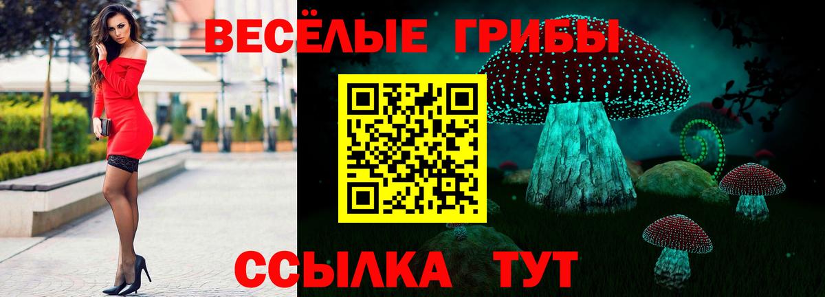 COCAIN Великий Устюг